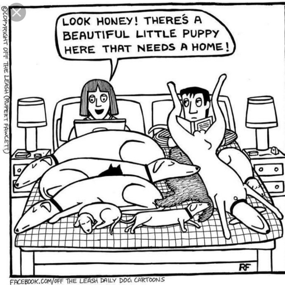 Meet Your Posher - Picture 7 of 8